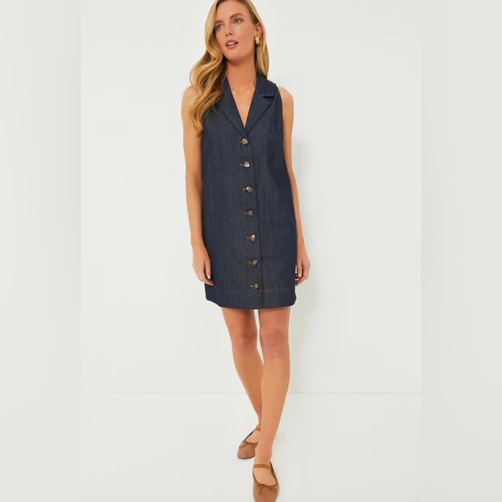 Pomander Place Navy Sleeveless Button-Front Mini Dress